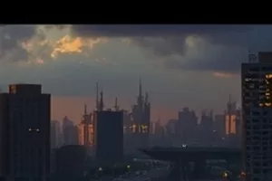 《双生花期》封面，两株并排绽放的花枝