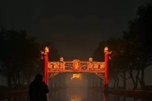 《候鸟计划》封面，湿地上一群候鸟腾空而起